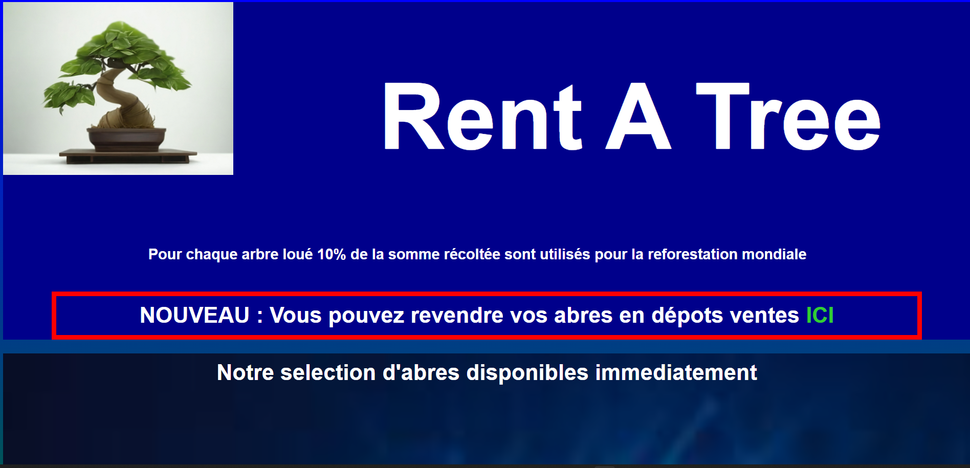 photo site rent a tree 