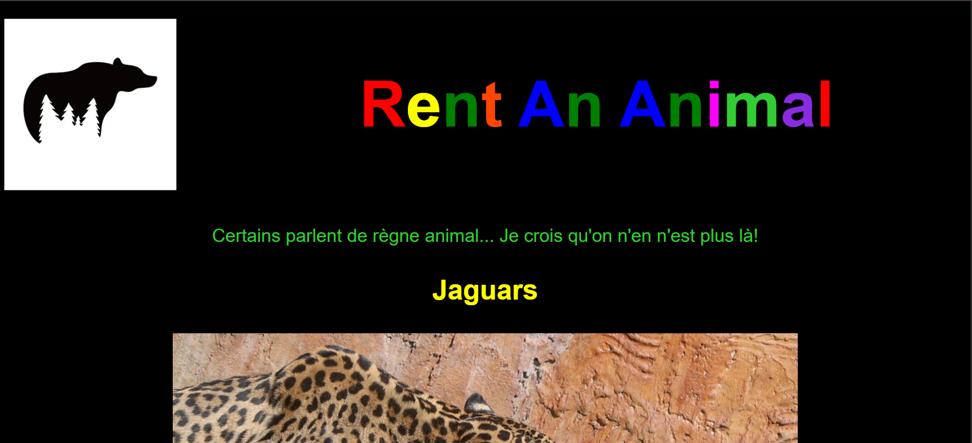 photo rent an animal 